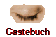 G�stebuch